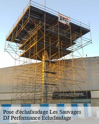 Pose d'échafaudage  les-sauvages-69170 DJ Performance Echafaudage